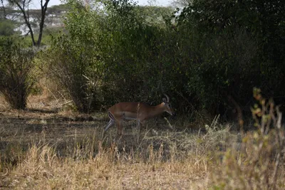 DSC_3376 (Large).JPG